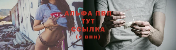винт Алексин