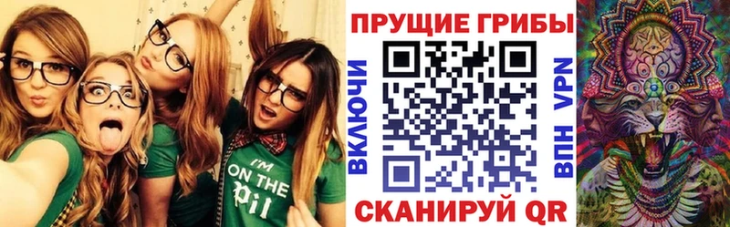 Галлюциногенные грибы мицелий  хочу наркоту  Венёв 