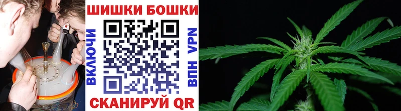 Бошки Шишки семена Венёв
